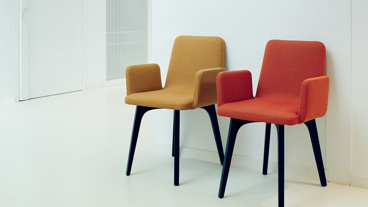 Balance and Contrast: Using Color to Anchor White Spaces