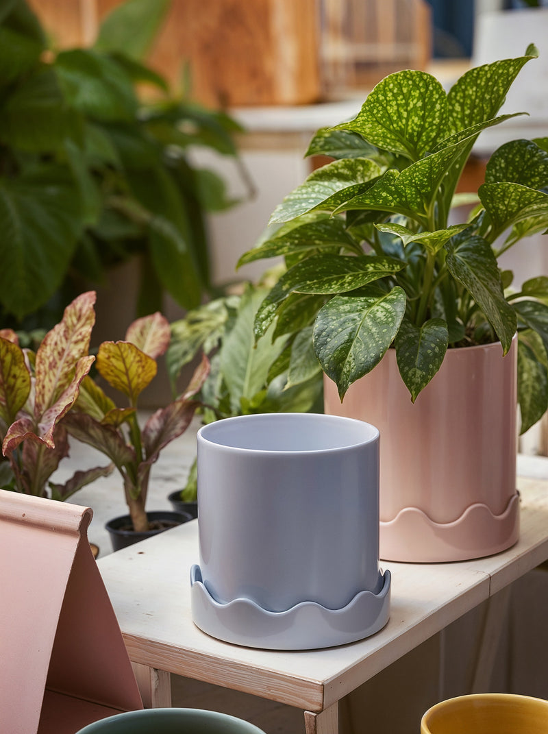 Wavy Base Planter-6