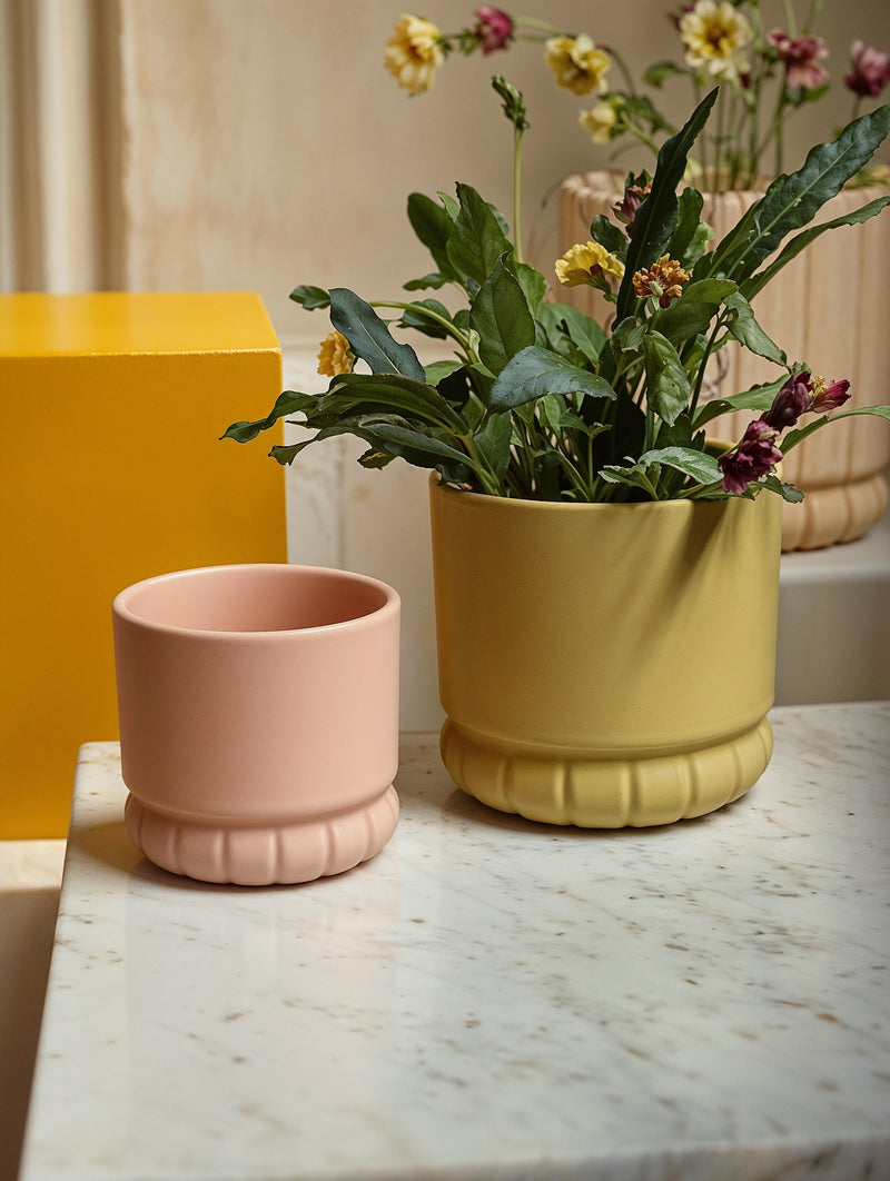 Twist Rim Pot-6